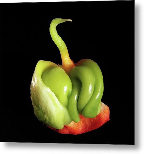 Baby Bell Pepper / Art Photo - Metal Print