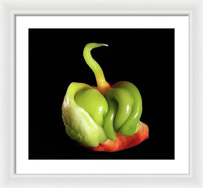 Baby Bell Pepper / Art Photo - Framed Print