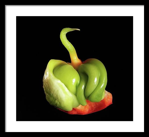 Baby Bell Pepper / Art Photo - Framed Print