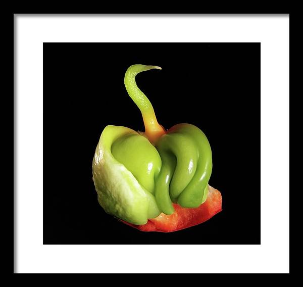 Baby Bell Pepper / Art Photo - Framed Print