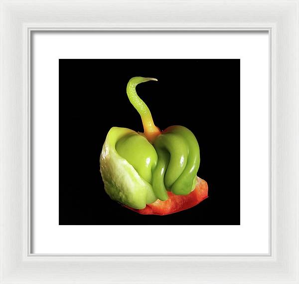 Baby Bell Pepper / Art Photo - Framed Print