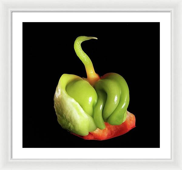 Baby Bell Pepper / Art Photo - Framed Print