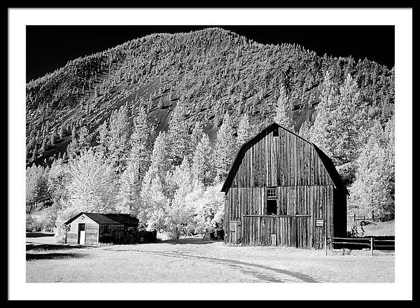 Barn in rural Montana, Infrared View / Art Photo - Framed Print