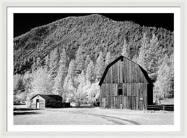 Barn in rural Montana, Infrared View / Art Photo - Framed Print