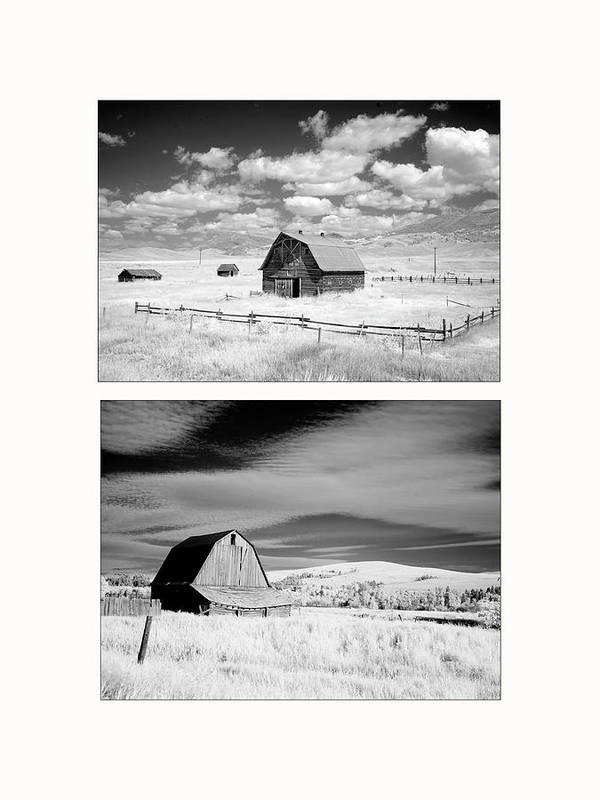 Barns - diptych / Art Photo - Art Print