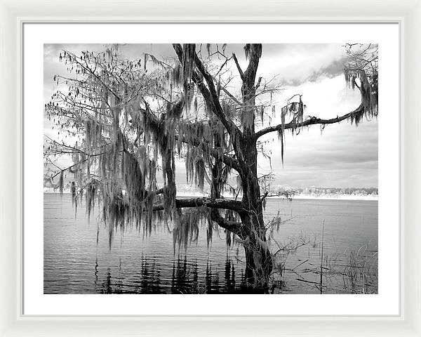 Blakeley State Park, Alabama / Art Photo - Framed Print