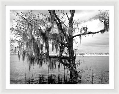 Blakeley State Park, Alabama / Art Photo - Framed Print