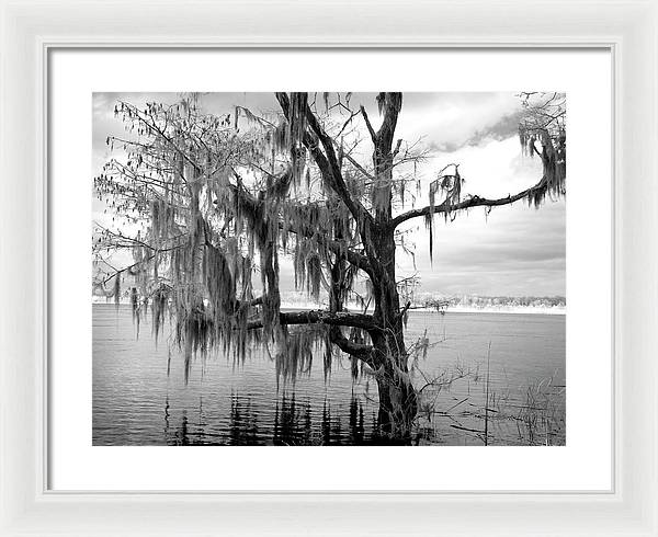 Blakeley State Park, Alabama / Art Photo - Framed Print