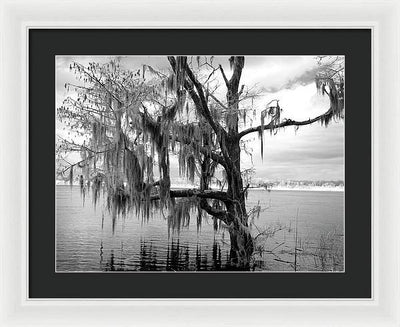 Blakeley State Park, Alabama / Art Photo - Framed Print