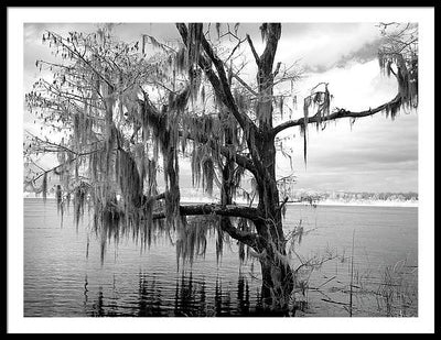 Blakeley State Park, Alabama / Art Photo - Framed Print