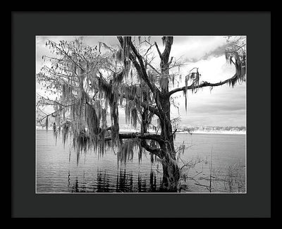 Blakeley State Park, Alabama / Art Photo - Framed Print