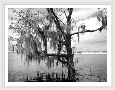 Blakeley State Park, Alabama / Art Photo - Framed Print