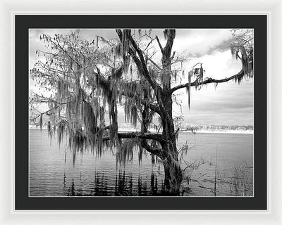 Blakeley State Park, Alabama / Art Photo - Framed Print