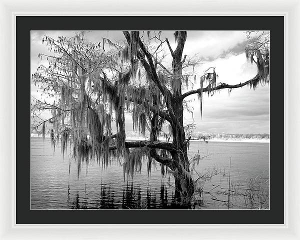 Blakeley State Park, Alabama / Art Photo - Framed Print