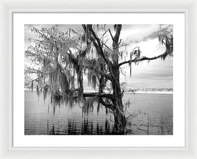 Blakeley State Park, Alabama / Art Photo - Framed Print