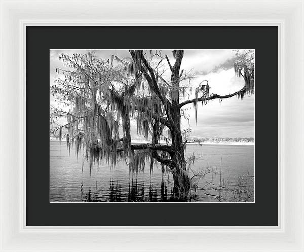 Blakeley State Park, Alabama / Art Photo - Framed Print