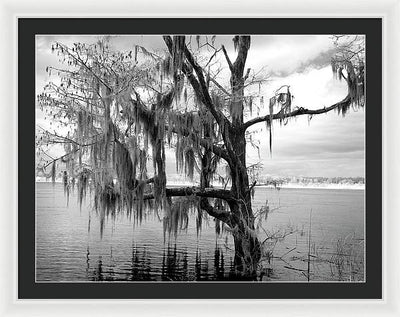 Blakeley State Park, Alabama / Art Photo - Framed Print