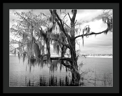 Blakeley State Park, Alabama / Art Photo - Framed Print