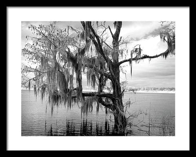 Blakeley State Park, Alabama / Art Photo - Framed Print