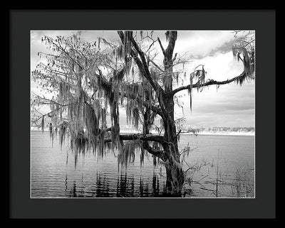 Blakeley State Park, Alabama / Art Photo - Framed Print