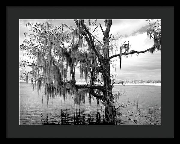 Blakeley State Park, Alabama / Art Photo - Framed Print