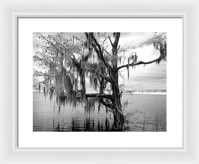 Blakeley State Park, Alabama / Art Photo - Framed Print