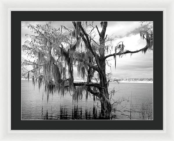 Blakeley State Park, Alabama / Art Photo - Framed Print