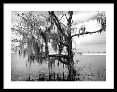 Blakeley State Park, Alabama / Art Photo - Framed Print