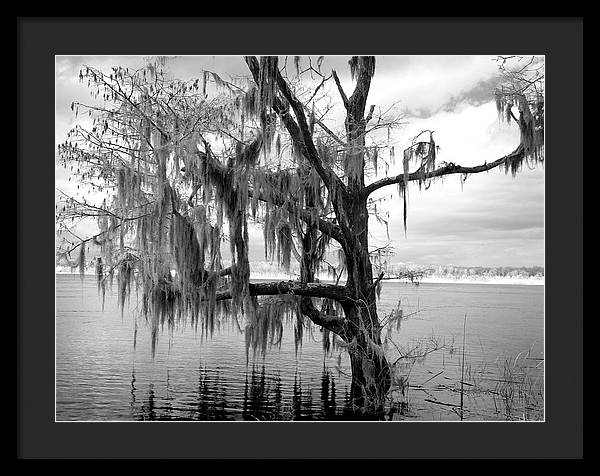 Blakeley State Park, Alabama / Art Photo - Framed Print