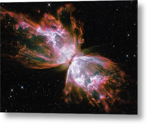 Butterfly Nebula / Art Photo - Metal Print