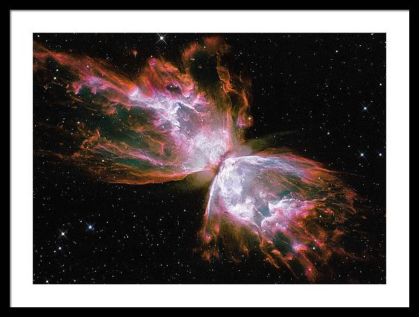 Butterfly Nebula / Art Photo - Framed Print