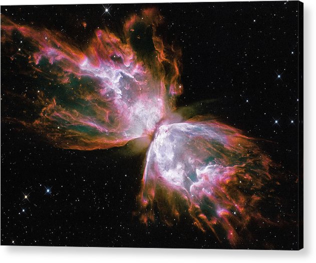 Butterfly Nebula / Art Photo - Acrylic Print