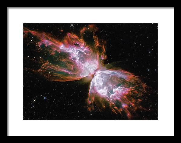 Butterfly Nebula / Art Photo - Framed Print