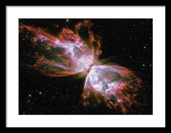 Butterfly Nebula / Art Photo - Framed Print