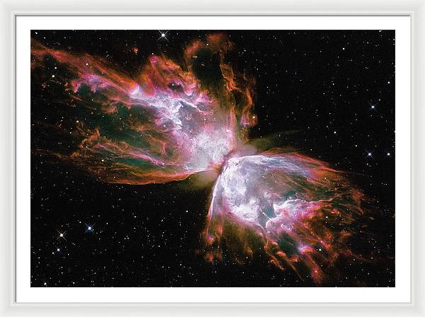 Butterfly Nebula / Art Photo - Framed Print