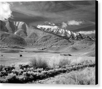 California / Art Photo - Canvas Print