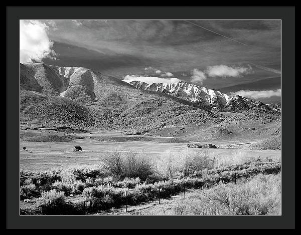 California / Art Photo - Framed Print