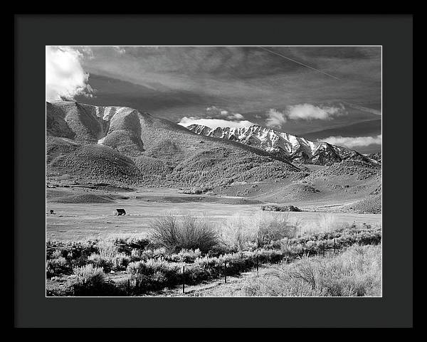 California / Art Photo - Framed Print