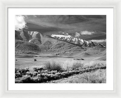 California / Art Photo - Framed Print