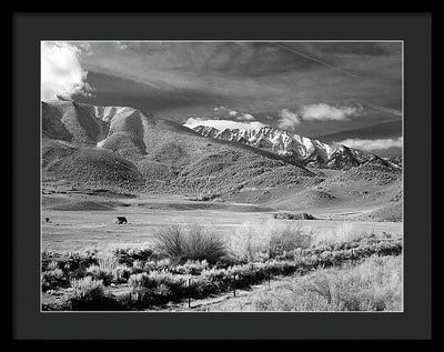 California / Art Photo - Framed Print