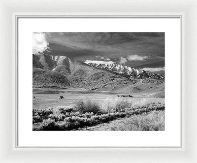 California / Art Photo - Framed Print