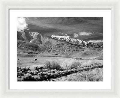 California / Art Photo - Framed Print