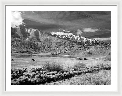 California / Art Photo - Framed Print