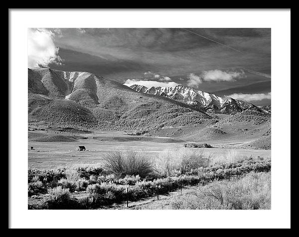 California / Art Photo - Framed Print