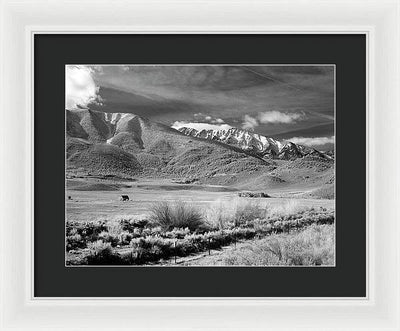 California / Art Photo - Framed Print