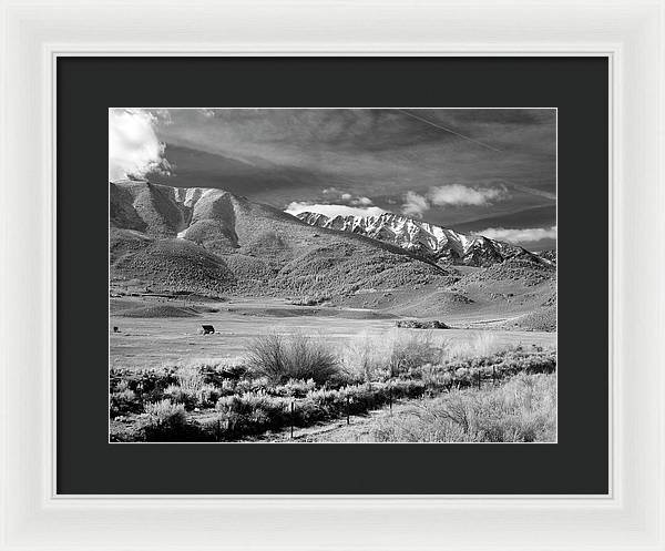 California / Art Photo - Framed Print