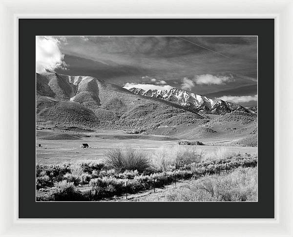 California / Art Photo - Framed Print