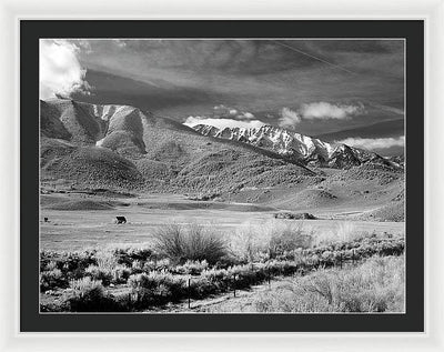 California / Art Photo - Framed Print