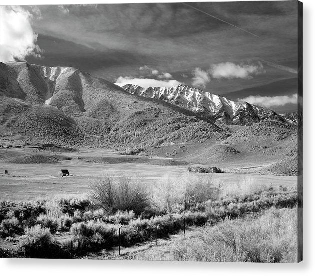 California / Art Photo - Acrylic Print