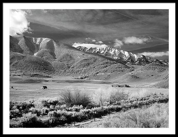 California / Art Photo - Framed Print